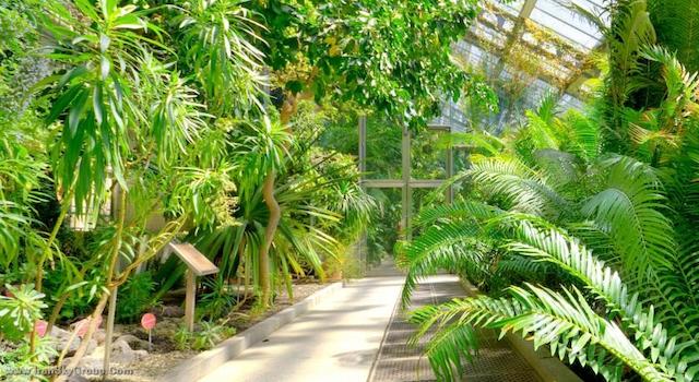 د وستین پالاس