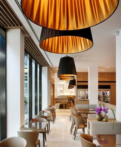 گلدن تولیپ هامبورگ