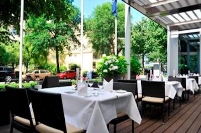 گلدن تولیپ هامبورگ