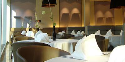 گلدن تولیپ هامبورگ