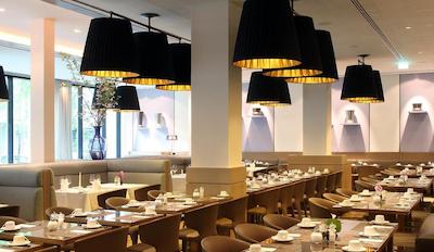 گلدن تولیپ هامبورگ