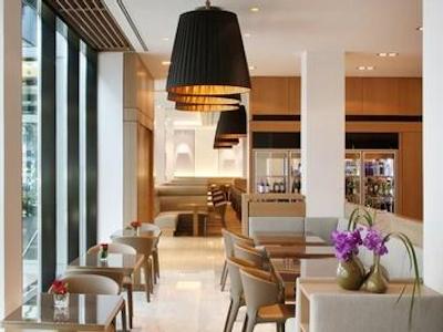 گلدن تولیپ هامبورگ