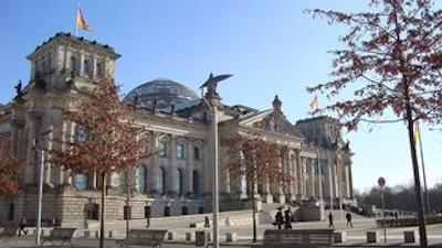 گلدن تولیپ هامبورگ