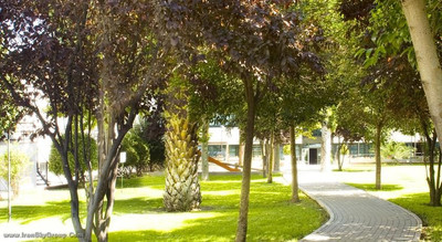 اسونا