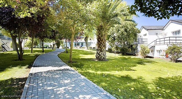 اسونا