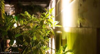 آکروپلیس سلکت