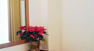 ریو آتنز هتل