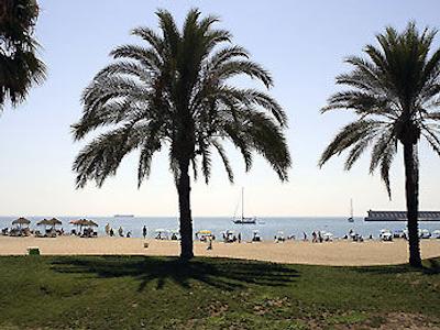 هیلتون گاردن این مالاگا