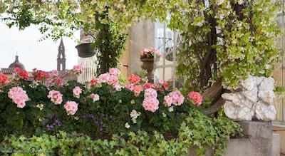 تورنابونی بیکی