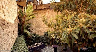 اولیویا پلازا