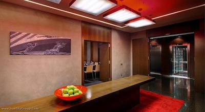 اولیویا پلازا