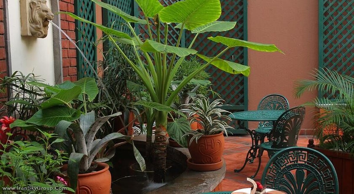 سروا استنلی