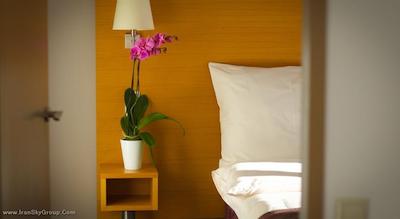 جوریس این پراگ