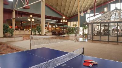 هالیدی این تورنتو یورکدل