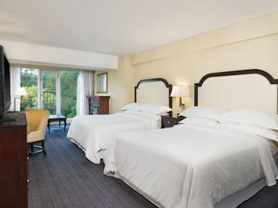 شرایتون آن د فالز