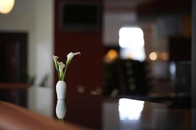 استایگنبرگر هتل برلین