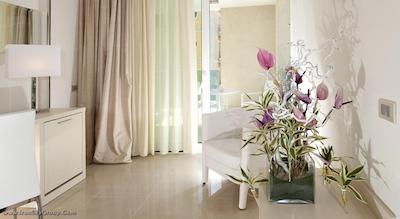 مرکور ریمینی آرتیس