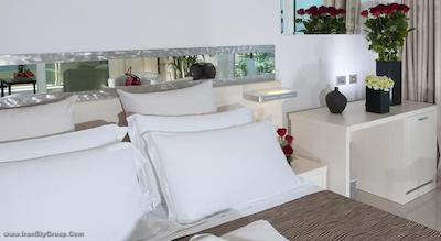 مرکور ریمینی آرتیس