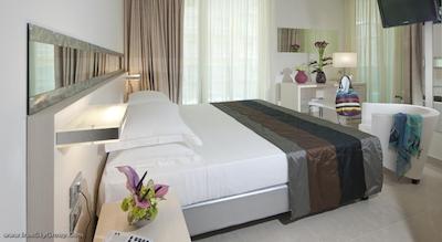 مرکور ریمینی آرتیس