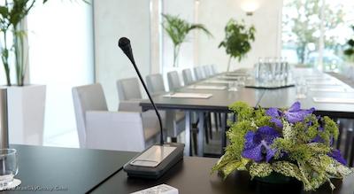 مرکور ریمینی آرتیس