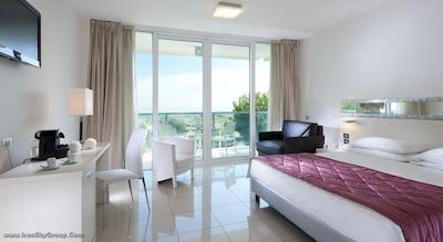 مرکور ریمینی آرتیس