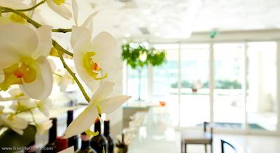 مرکور ریمینی آرتیس