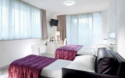 مرکور ریمینی آرتیس