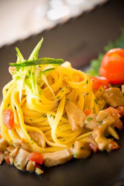 استارهتلس توریست