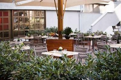 استارهتلس توریست