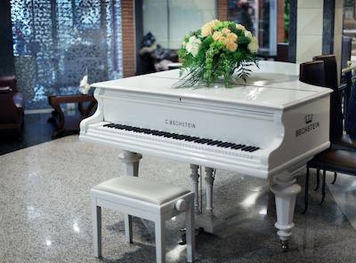 پرمیر هتل روس