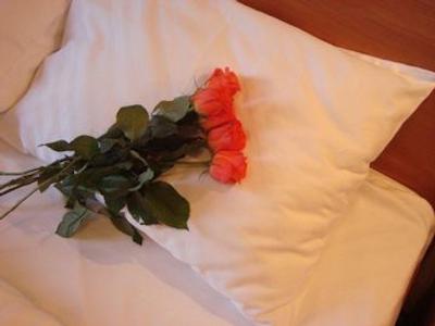 نوسکی هتل بریز