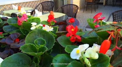 ردا استارز هتل