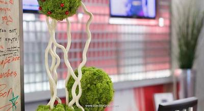 ردا استارز هتل