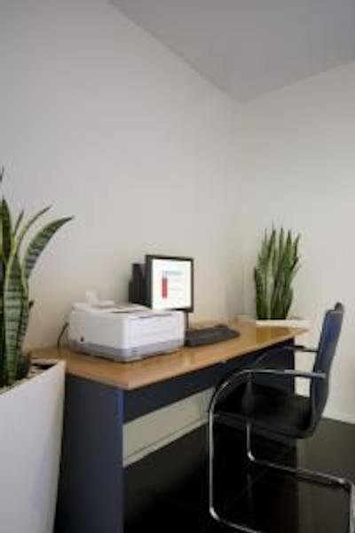 آکلند سیتی اواکس