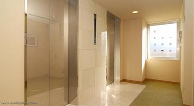 گرین کوراکون