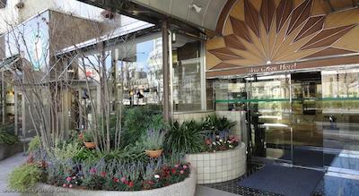 گرین کوراکون