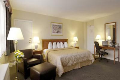 کامفورت هتل داون تاون