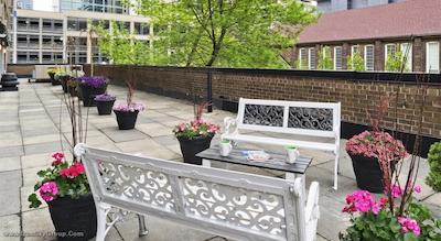 کامفورت هتل داون تاون