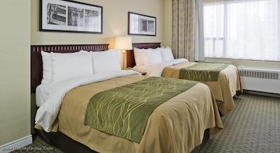 کامفورت هتل داون تاون