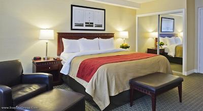 کامفورت هتل داون تاون