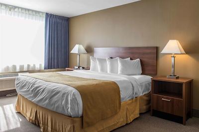 کوالیتی میدتاون