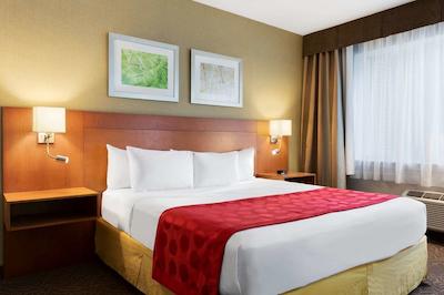 کوالیتی میدتاون