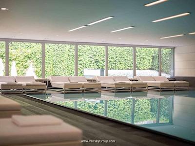 پولمن اشویزرهف