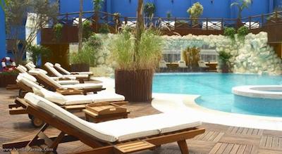 گلدن تولیپ فرح کازابلانکا