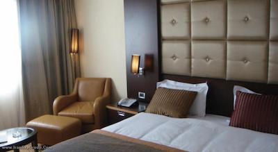 گلدن تولیپ فرح کازابلانکا