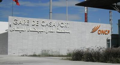 گلدن تولیپ فرح کازابلانکا