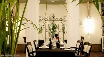 گلدن تولیپ فرح کازابلانکا