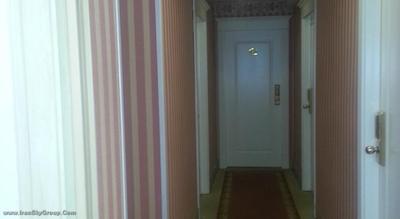 زنهتل رجینا