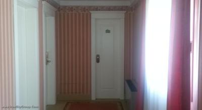 زنهتل رجینا