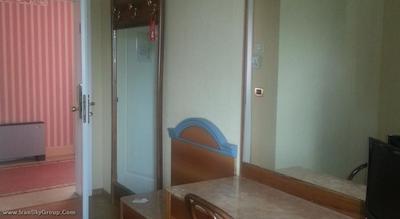 زنهتل رجینا